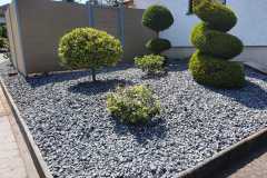 IMG-20250620-WA0046