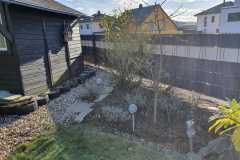 IMG-20250620-WA0052