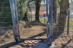 IMG-20250620-WA0054